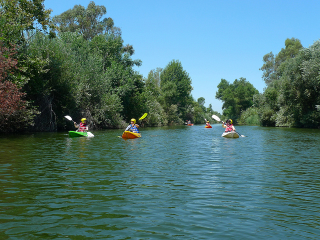 Illustration for article titled I Kayaked the Part of the Los Angeles River That Actually Looks Like a River